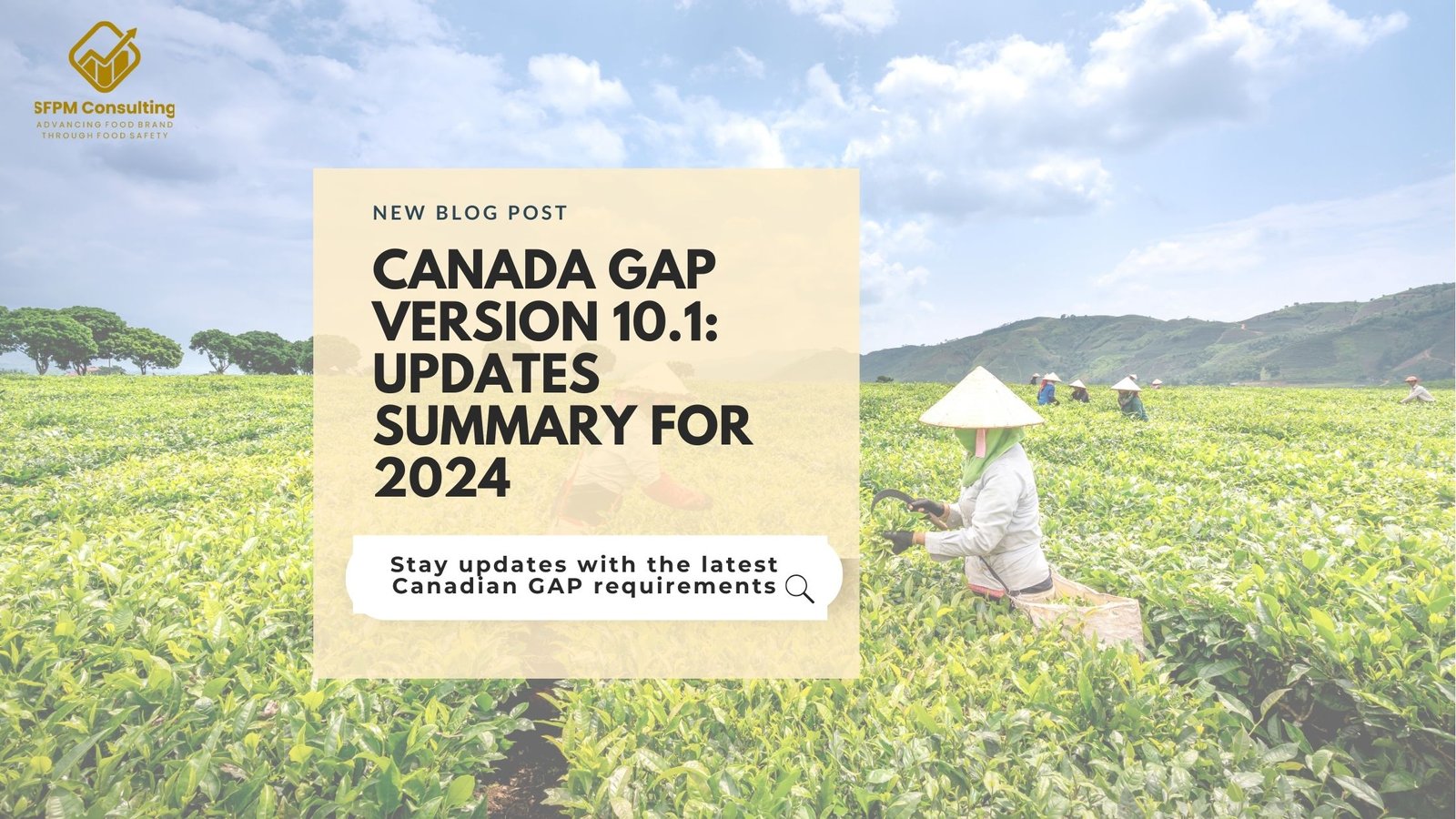 SFPM Consulting present Canada GAP 10.1 Updates Summary for 2024