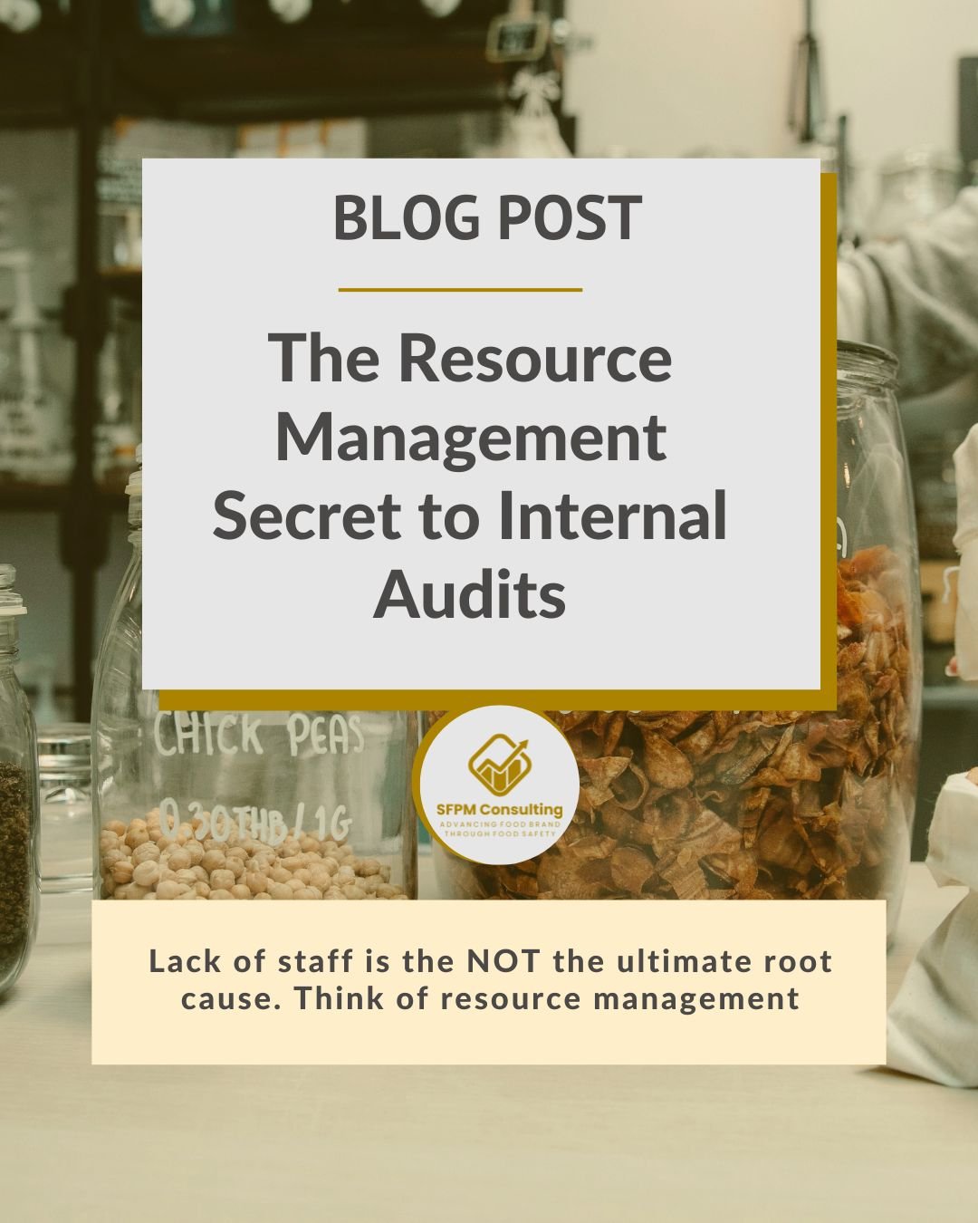 SFPM Consulting present The Resource Management Secret to Internal Audits blog